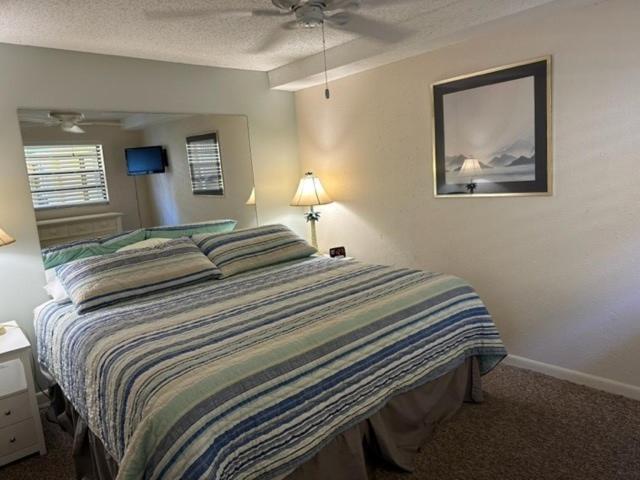 Treasure Island Beach Club 727-360-7096 圣徒皮特海滩 外观 照片
